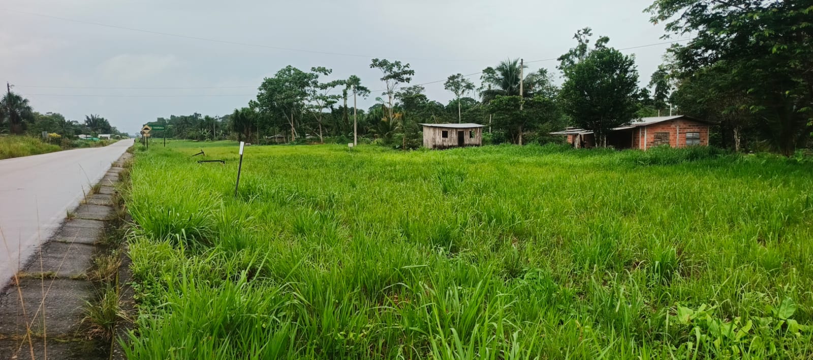Área junto a carretera antes del desbroce